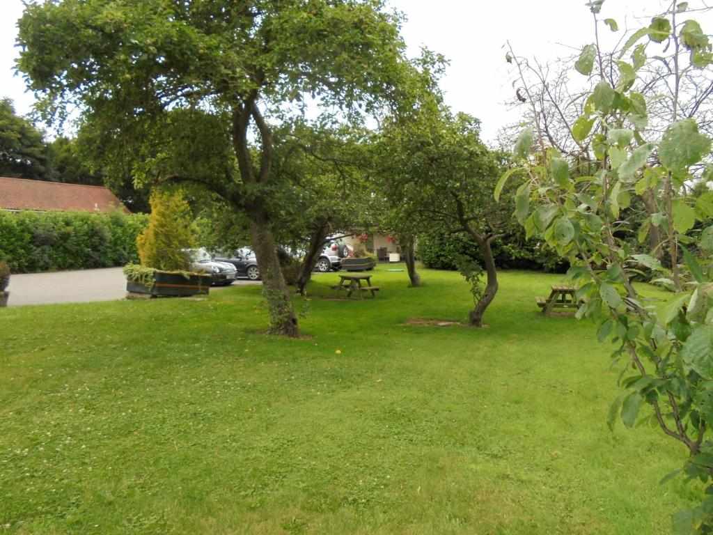 Garden and orchard at the lodge