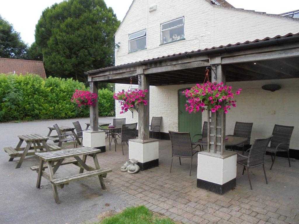 Outdoor pergola with flowers and benches